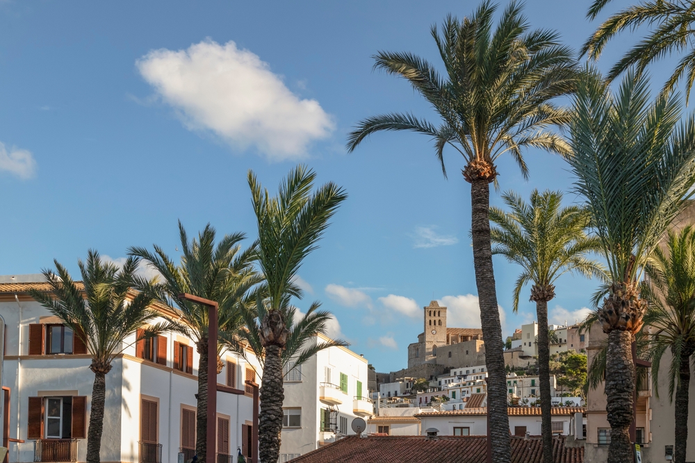 IBIZA